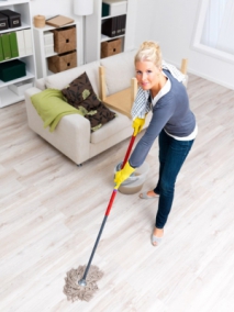 Cleaning Your Home On A Budget