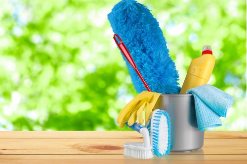 Professional cleaner in Harrow preparing a neat living room