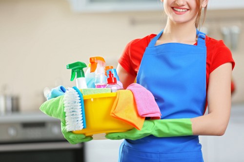 Deep cleaning services in Harrow for bathrooms and detailed household care