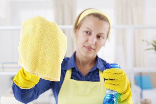 Domestic cleaning in Harrow for a tidy family home