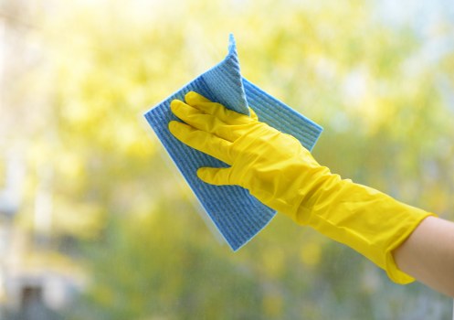 Cleaner assessing waste volume for a clear pricing quote