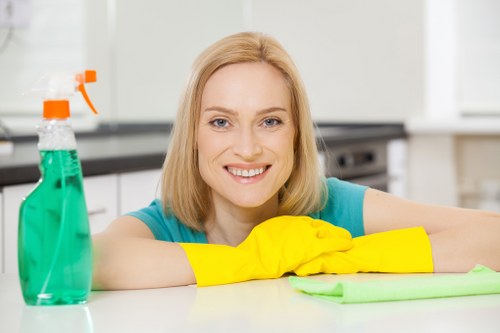 Professional oven cleaning in Harrow with a spotless kitchen appliance