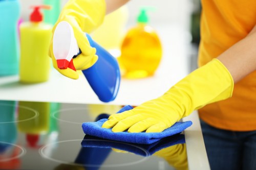 Rental property deep cleaning in Harrow for move-in ready presentation