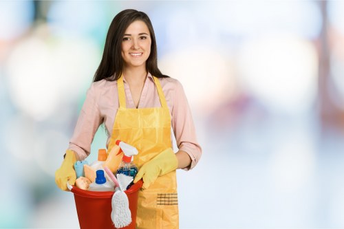 Rental home move-out cleaning service in Harrow